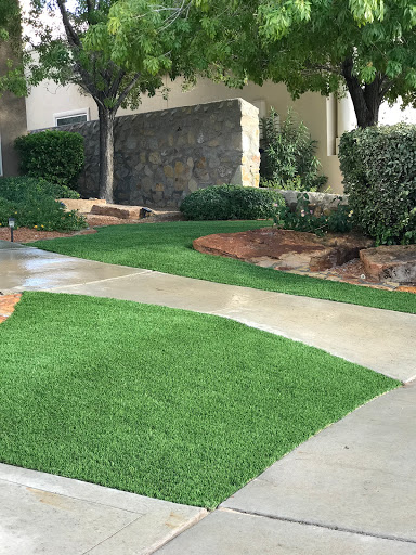 Eco Turf Arizona – Natural Lawns: A Sustainable and Eco-Friendly ...