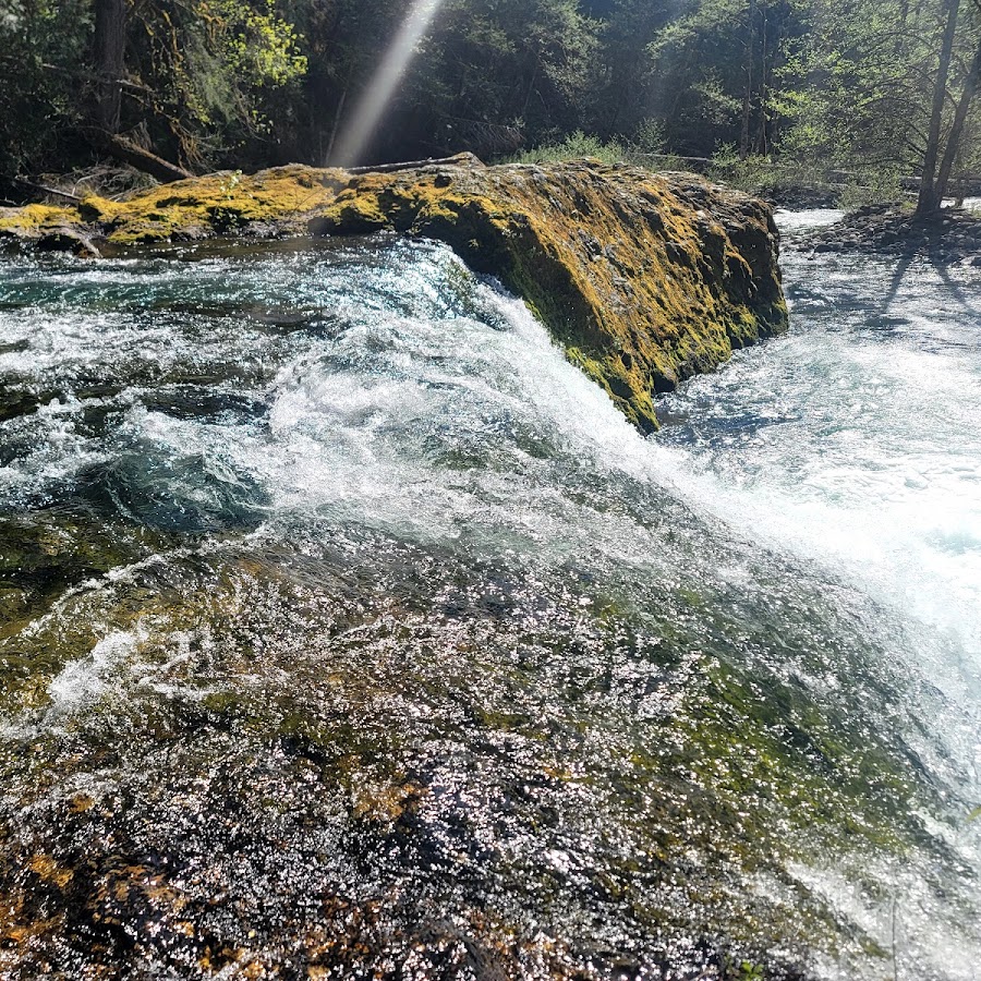 Salmon Creek Falls Day Use Area