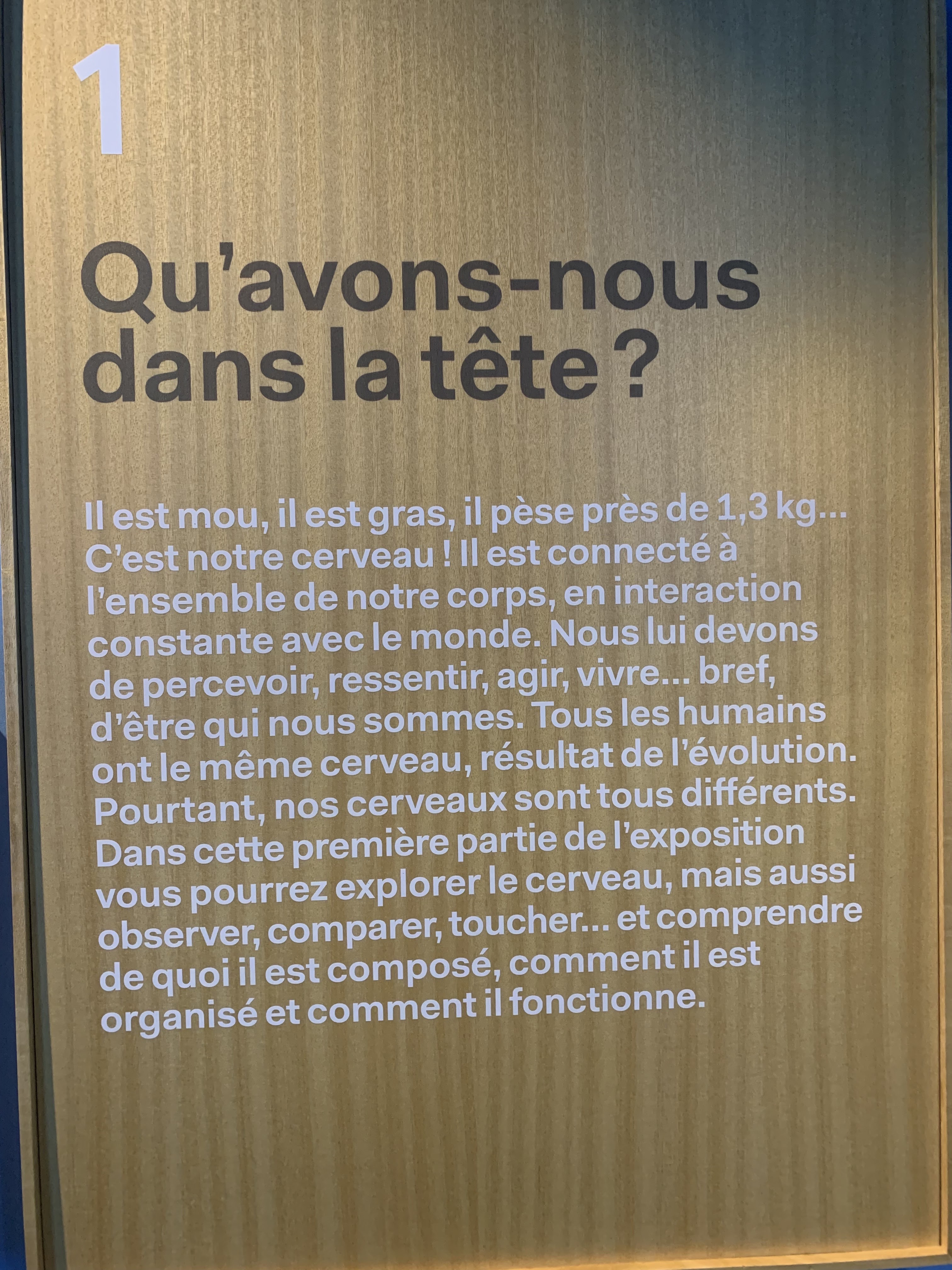 Photo n° 1 de l'avis de Ida. fait le 09/08/2023 à 00:38