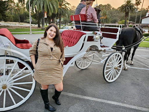 Carriage ride service Fremont