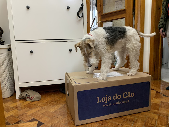 Comentários e avaliações sobre o Loja do Cão / Loja do Gato