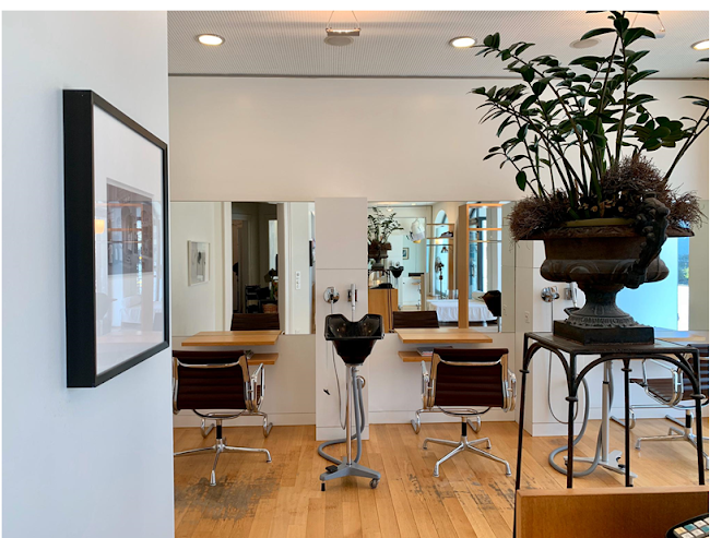 voser - rund ums haar