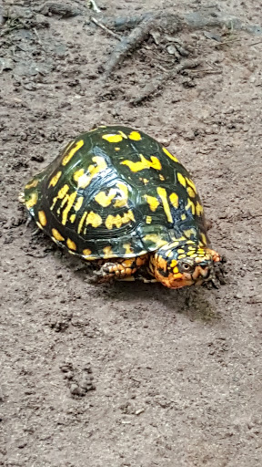 Park «Ellanor C. Lawrence Park», reviews and photos, 5040 Walney Rd, Chantilly, VA 20151, USA