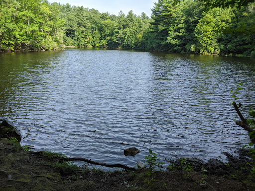 Cook’s Woods Trailhead
