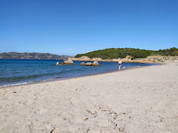 Grande Baia Beach'in fotoğrafı doğal alan içinde bulunmaktadır