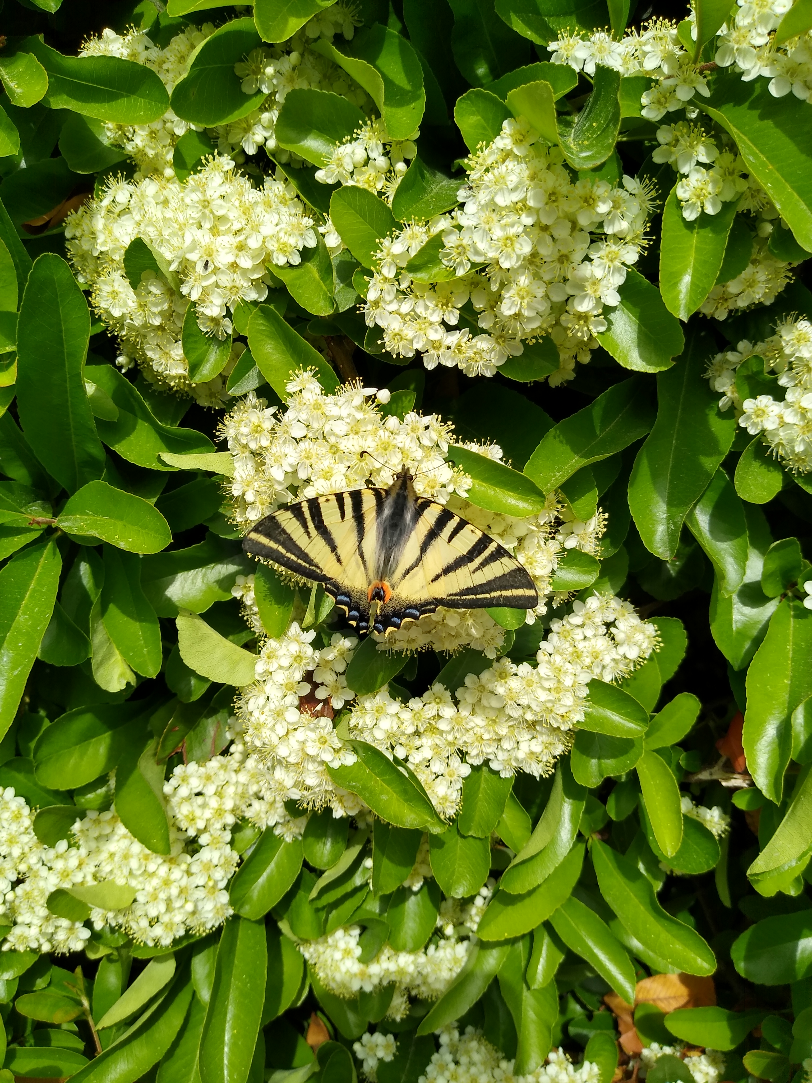 Photo n° 3 de l'avis de Stéphane.a fait le 22/05/2022 à 18:51