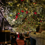 Photo n°1 de l'avis de Maria.r fait le 10/03/2024 à 21:22 sur le  Jackie O' à Rome