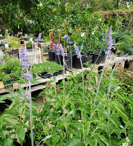 Landscaper «Wilson Landscape Nursery and Florist», reviews and photos, 14650 Bandera Rd, Helotes, TX 78023, USA