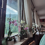 Photo n°9 de l'avis de carla.o fait le 13/06/2022 à 13:27 sur le  Ristorante Albergo Al Garibaldino à Posina