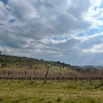 Photo n°8 de l'avis de Cloe. fait le 13/03/2022 à 15:34 sur le  Osteria 1126 à Poggibonsi