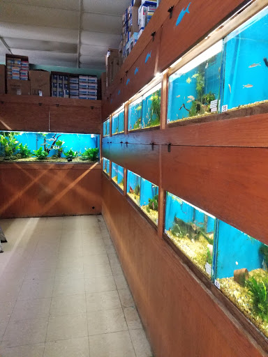 Pet Supply Store «Tropical World Pets», reviews and photos, 8444 Watson Rd, Webster Groves, MO 63119, USA