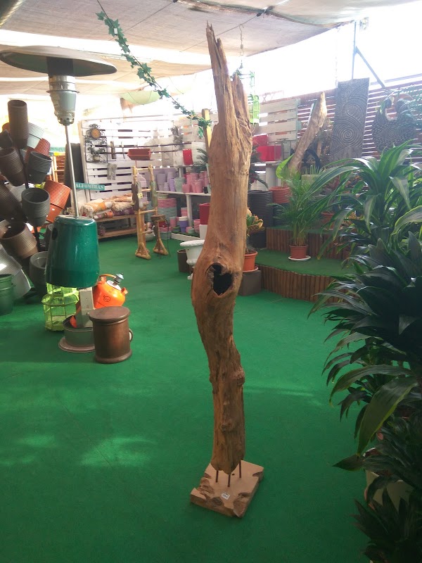 Imagen de Garden Center Albiplant (8 de 10)