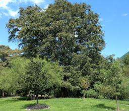 rio la silla Park photo