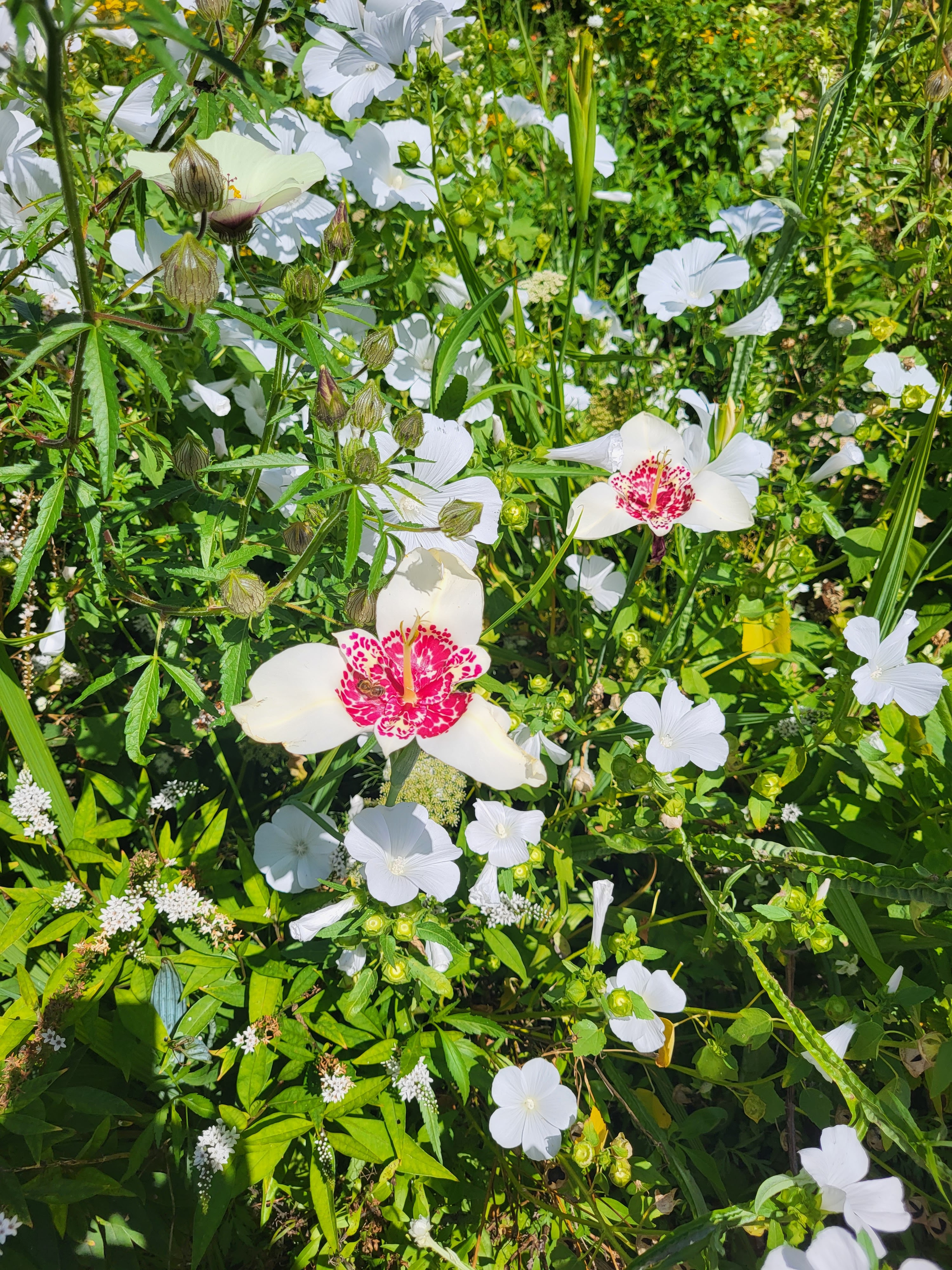 Photo n° 4 de l'avis de Virginie.a fait le 20/08/2023 à 15:52