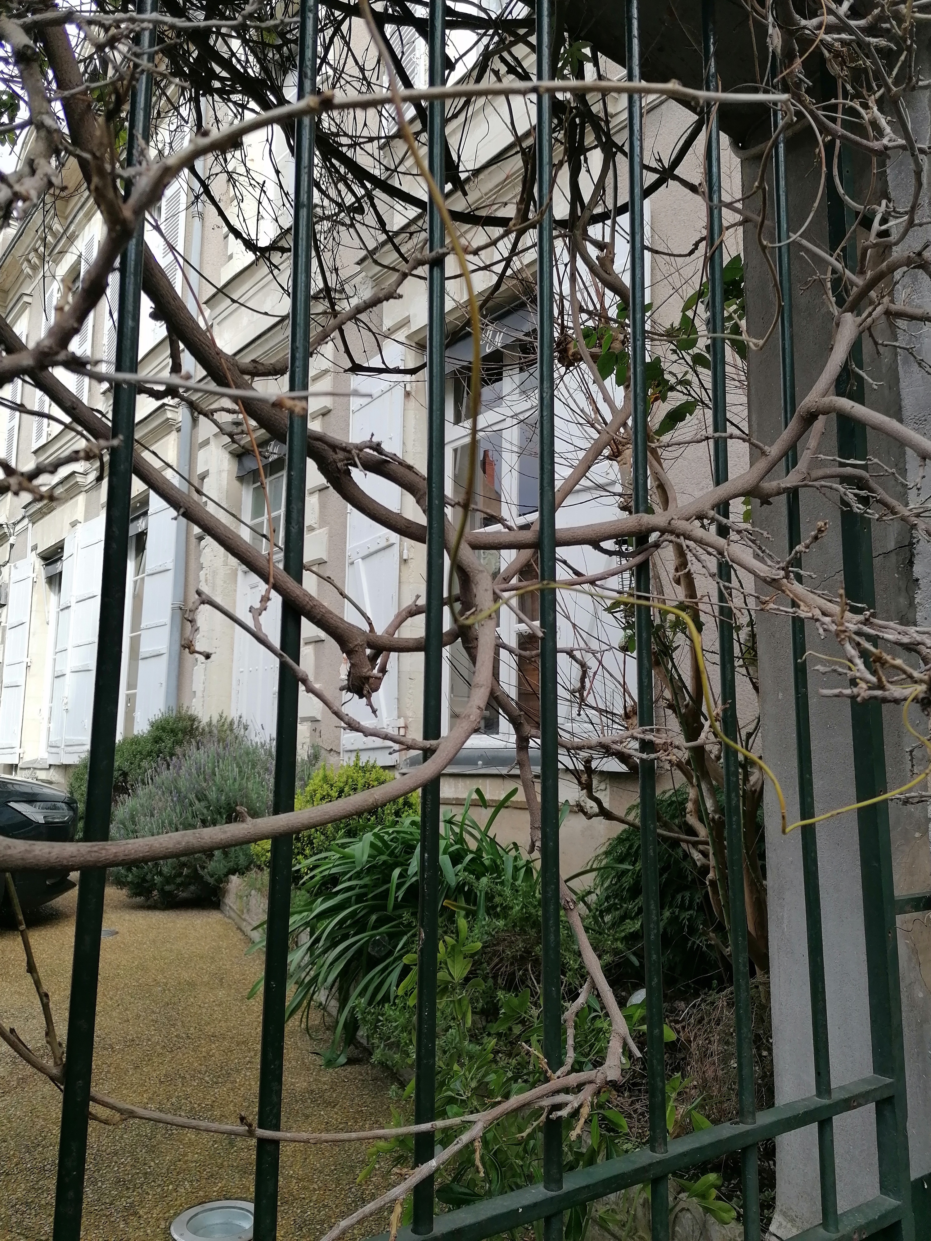 Photo n° 1 de l'avis de apithy.a fait le 21/02/2022 à 07:03