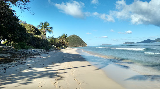 Long Bay beach