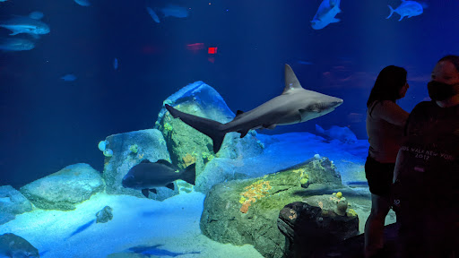 Aquarium «New York Aquarium», reviews and photos, 602 Surf Ave, Brooklyn, NY 11224, USA