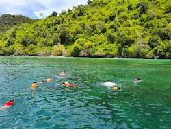 Photo de Chicken island Beach II avec un rivage spacieux