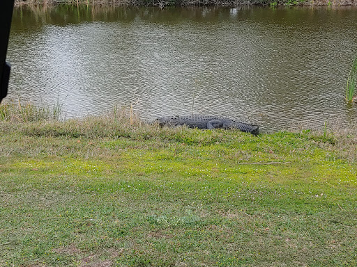 Golf Club «Sugar Cane Golf Club», reviews and photos, 2619 W Canal St N, Belle Glade, FL 33430, USA