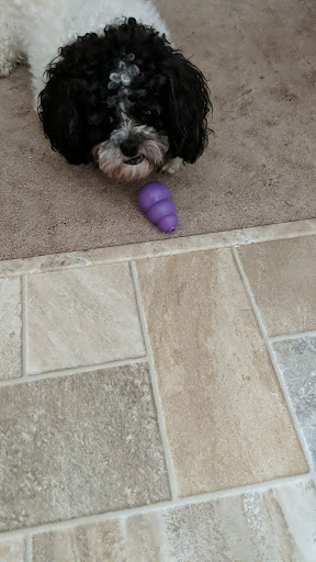 Pet Supply Store «Mounds Pet Food Warehouse», reviews and photos, 2110 S Stoughton Rd, Madison, WI 53716, USA