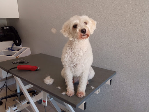 CHIQUI'S en Barbastro, Huesca