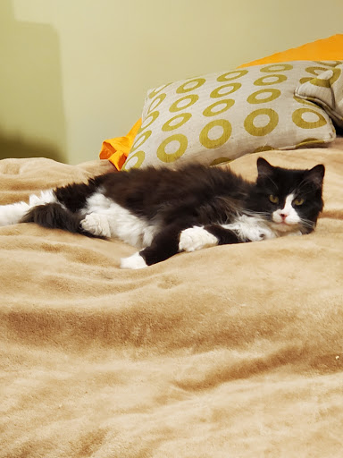 Pet Supply Store «Petco Animal Supplies», reviews and photos, 1311 E Army Post Rd, Des Moines, IA 50315, USA