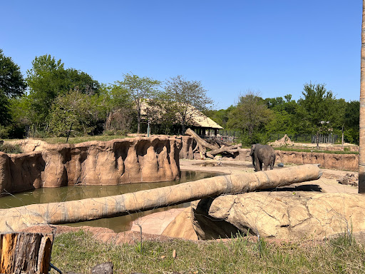 Transit Stop «Dallas Zoo Station», reviews and photos, 614 S. Ewing Avenue, Dallas, TX 75203, USA