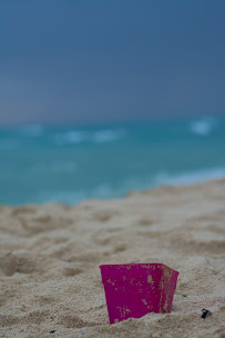 Darcie Crenshaw Photography - Photo 4 - Car repair in , Honolulu