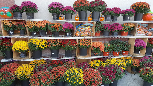 Shopping Mall «Green Mountain Shopping Plaza Shopping Center», reviews and photos, 241 S Main St, Rutland, VT 05701, USA