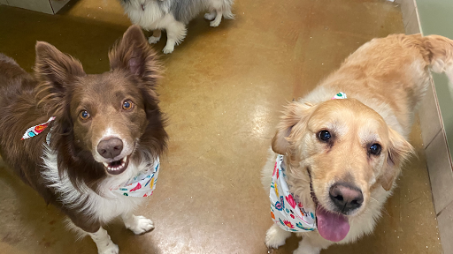 17244 S Interstate Hwy 35 #7, Schertz, TX 78154, USA