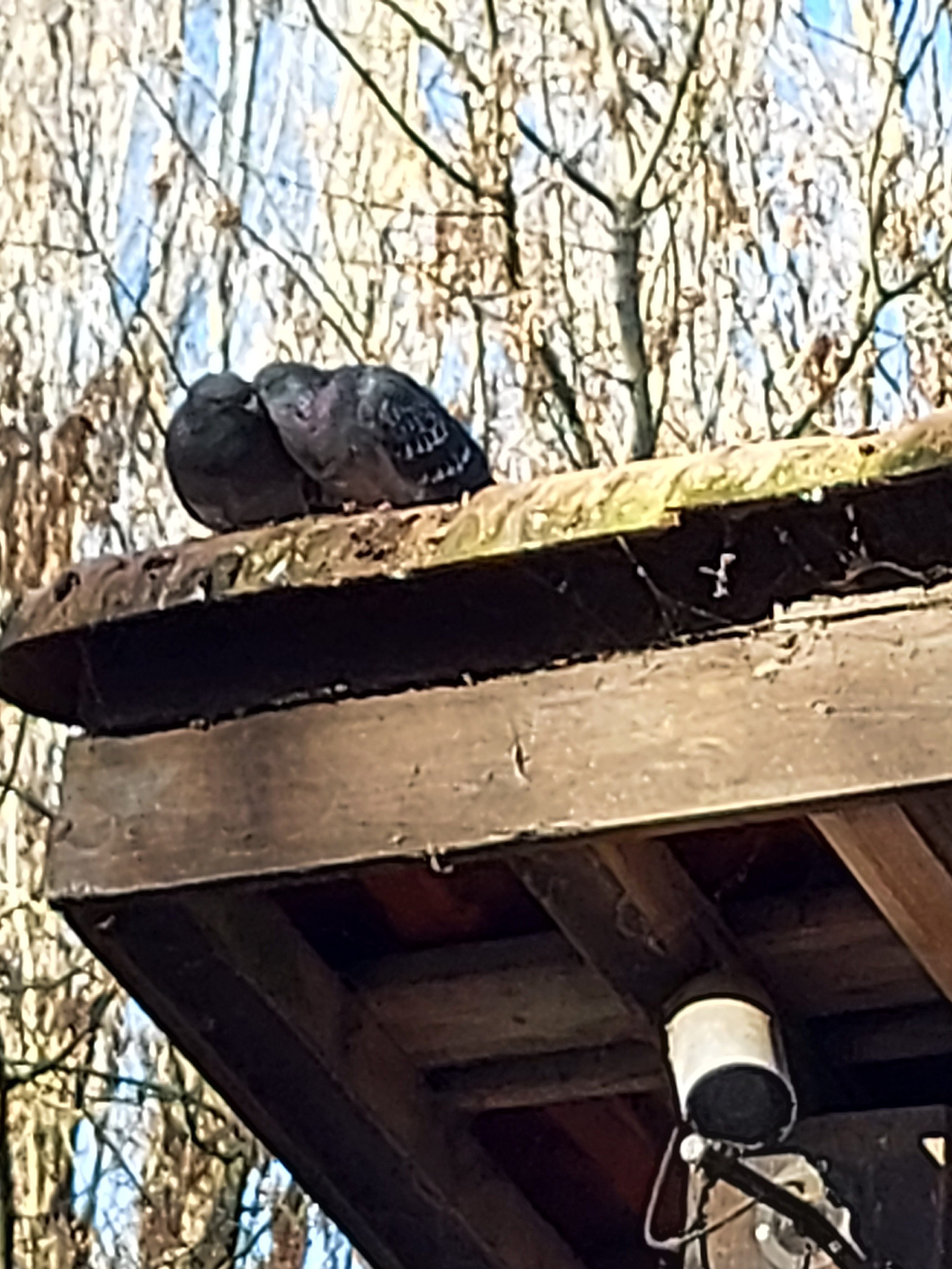 Photo n° 4 de l'avis de Laëti.J fait le 22/12/2021 à 12:26