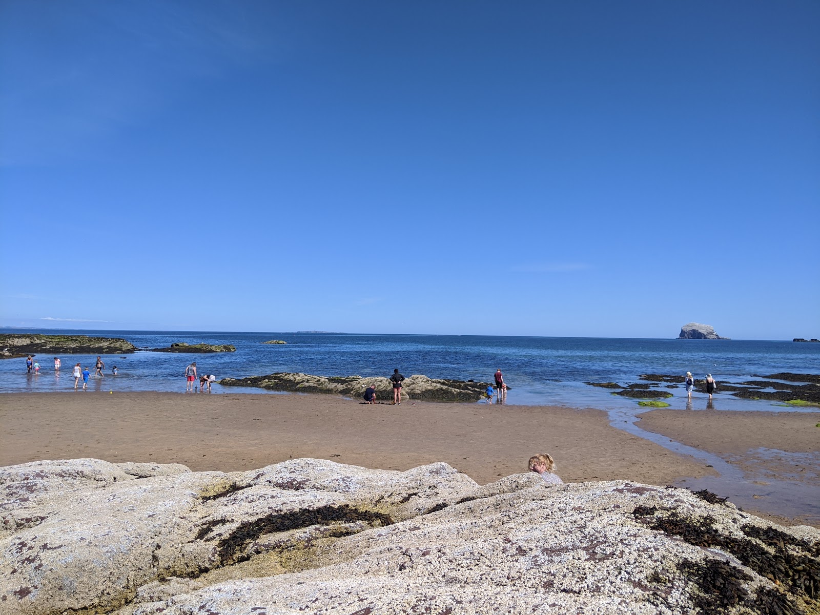 Milsey Bay Beach的照片 带有碧绿色纯水表面