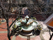 Wilson Immigration - Photo 6 - Car repair in Concord, CA, Concord