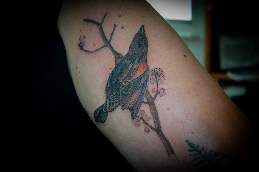 Explore nautical star tattoo ideas, creative tattoo ideas in Moweaqua, available at Fleshwound Tattoo
