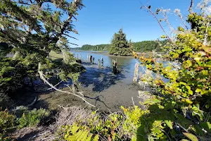 South Slough National Estuarine Research Reserve image