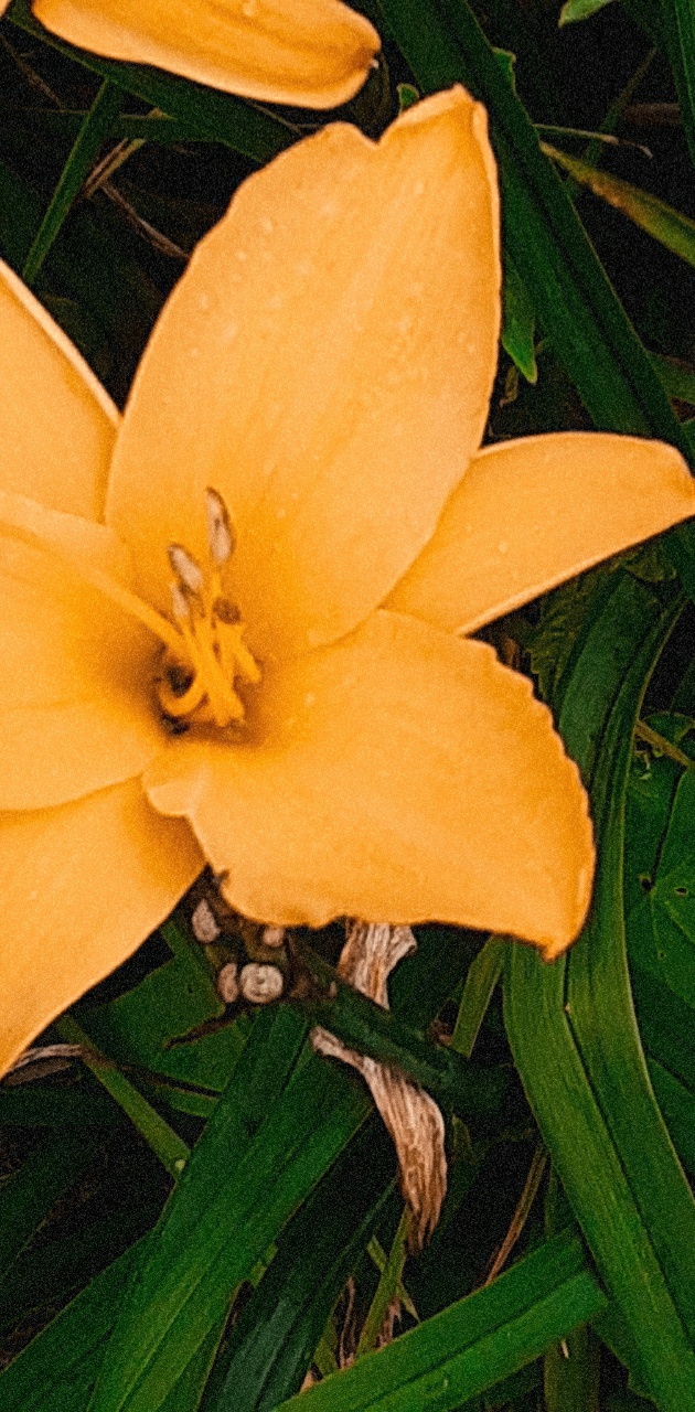 Photo n° 5 de l'avis de Ciccio.e fait le 28/07/2020 à 01:20