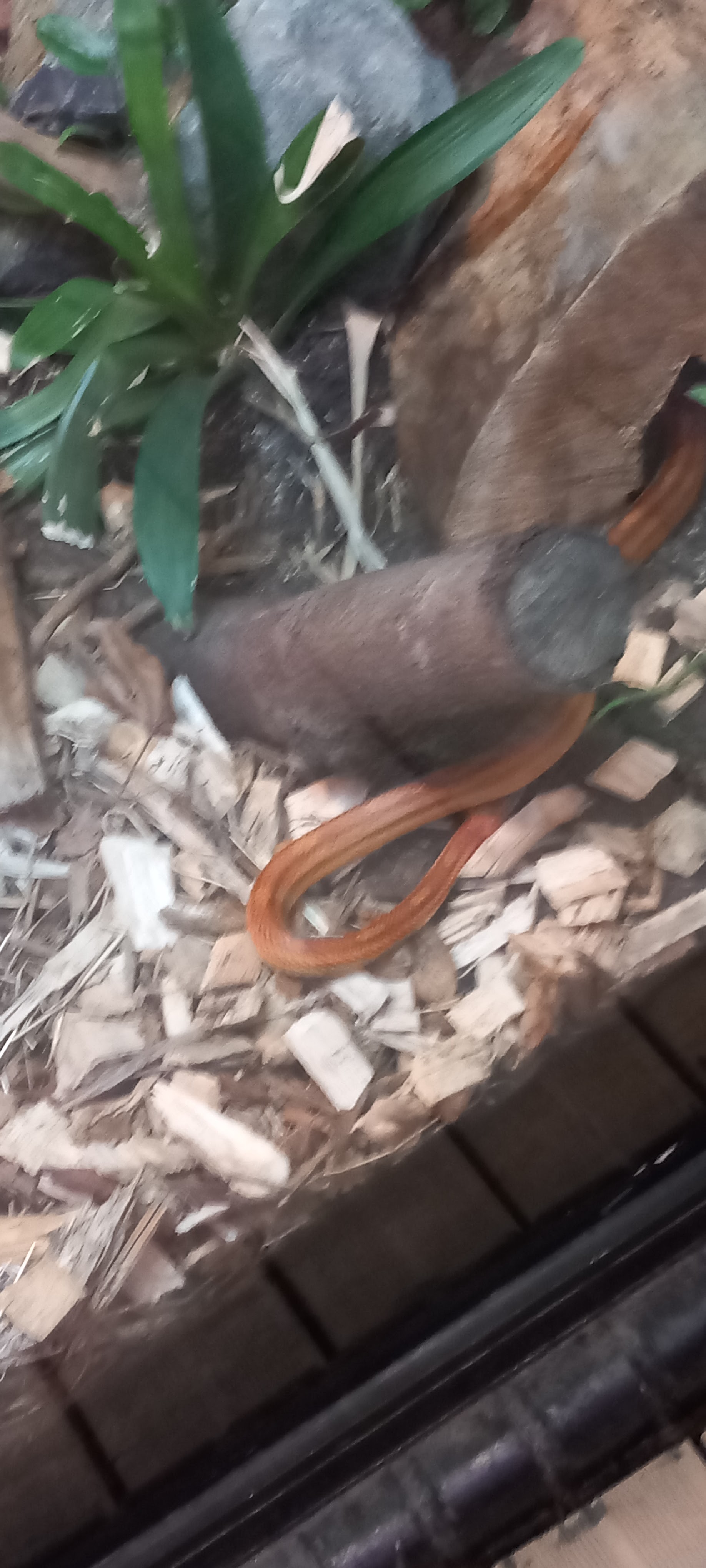 Photo n° 8 de l'avis de Laurent.e fait le 20/09/2023 à 12:16