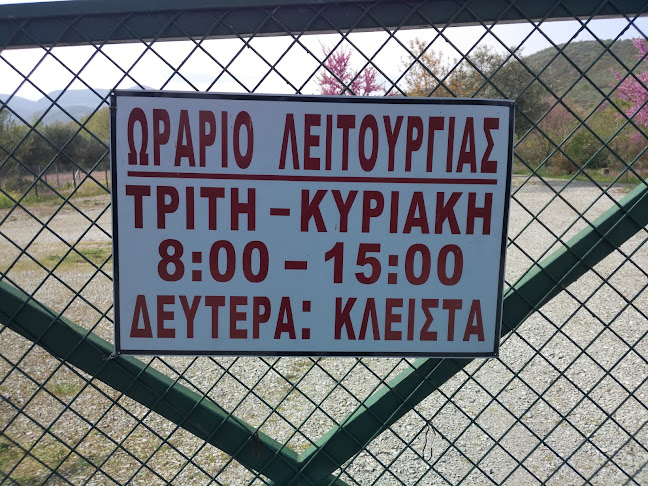 Ιερό Απόλλωνος, Μητρόπολη Καρδίτσας - Μουσείο