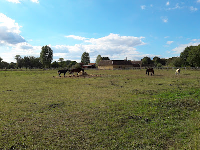 Le Plessis Beaufay à Beaufay