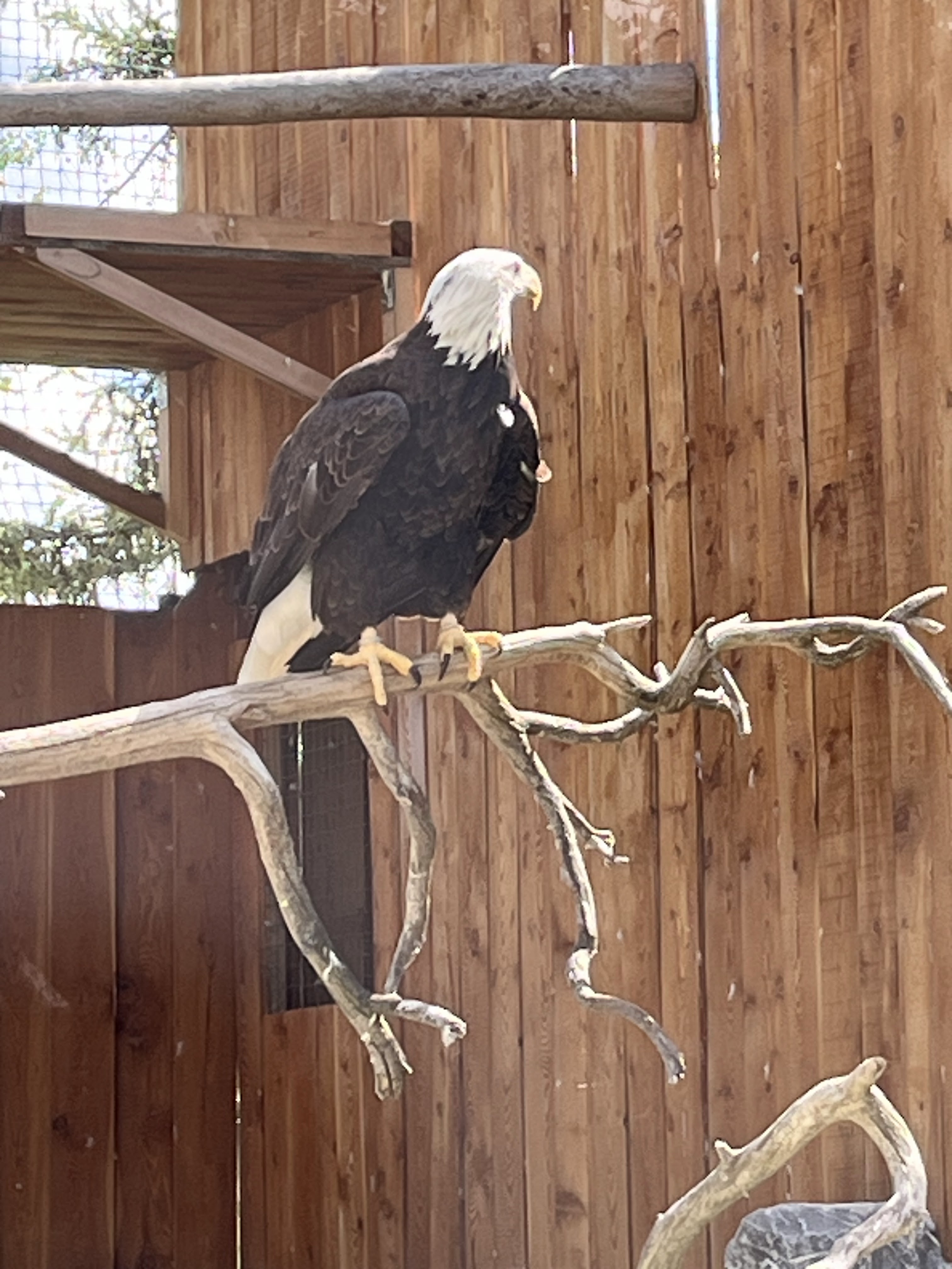 Photo n° 3 de l'avis de Erik.e fait le 15/08/2023 à 11:49