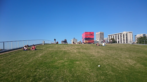 Tourist Attraction «Beale Street Landing», reviews and photos, 251 Riverside Dr, Memphis, TN 38103, USA
