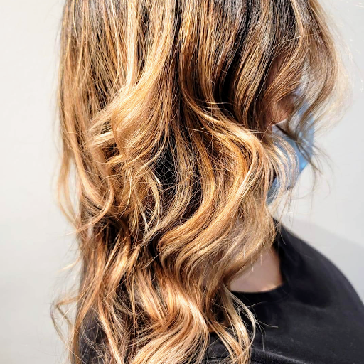 Hair Salon «Fantastic Sams Cut & Color», reviews and photos, 12778 Riverdale Blvd, Coon Rapids, MN 55448, USA