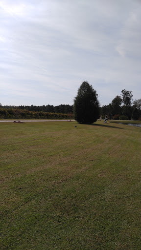 Vineyard «Lu Mil Vineyard», reviews and photos, 438 Suggs-Taylor Rd, Elizabethtown, NC 28337, USA