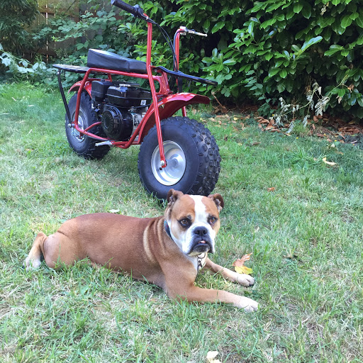 Thrift Store «Lucky Dog Clothing», reviews and photos, 8201 Greenwood Ave N, Seattle, WA 98103, USA