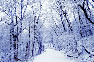 Snowflake Trail image