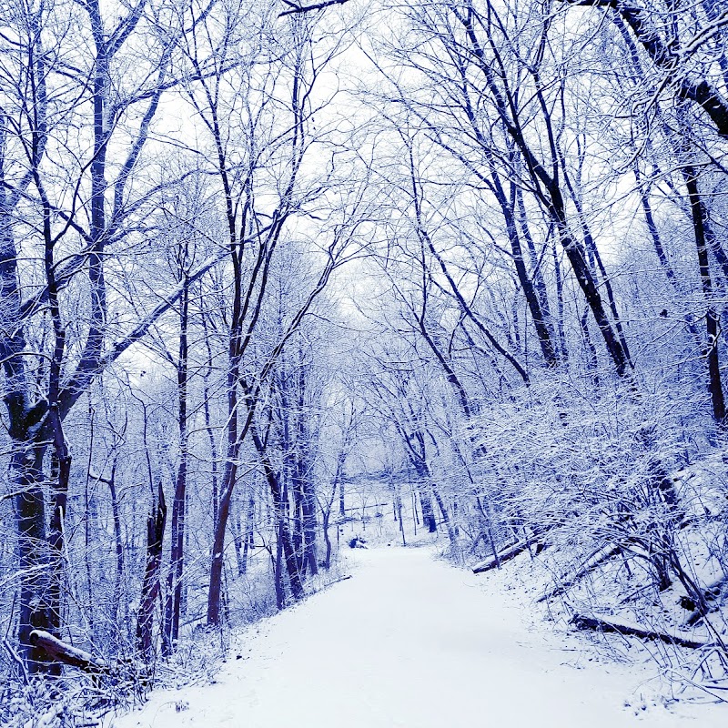 Snowflake Trail