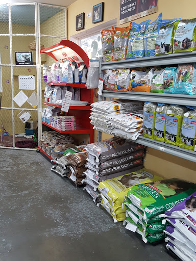 Pet Supply Store «Waterloo Feed & Pet Supply Inc», reviews and photos, 401 W 3rd St, Waterloo, IL 62298, USA