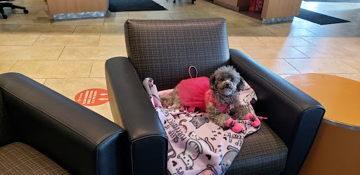 Toyota Dealer «Carlson Toyota», reviews and photos, 12880 Riverdale Dr NW, Coon Rapids, MN 55448, USA