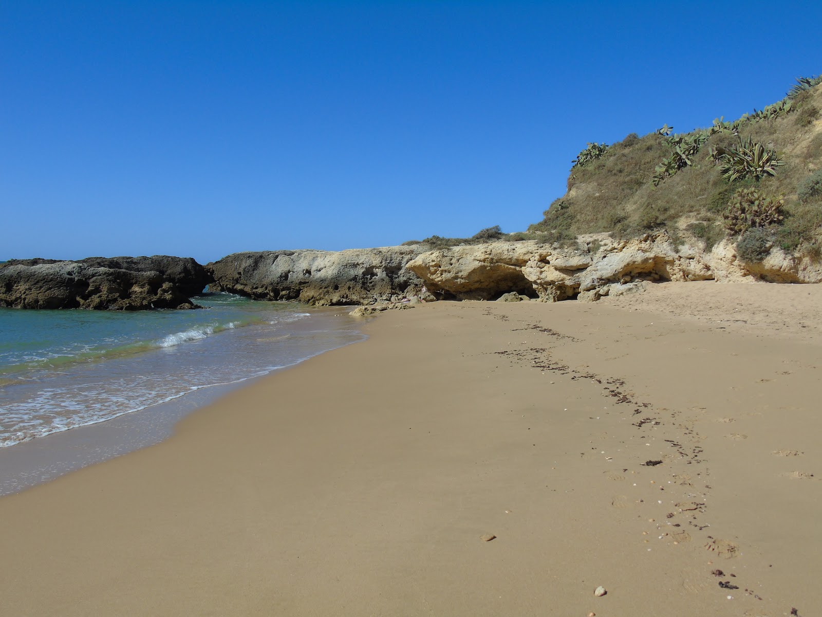 Praia dos Aveiros photo #9