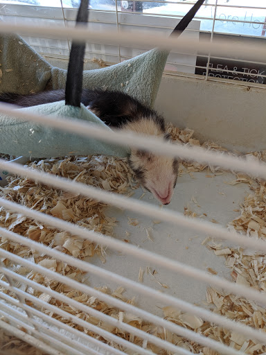 Pet Supply Store «Park Ave. Pets», reviews and photos, 993 Monroe Ave, Rochester, NY 14620, USA